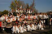 Hody 2006