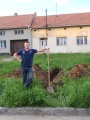 Stavění máje 2011